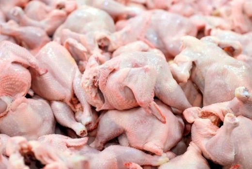 تاکنون بیش از پنج هزار تن گوشت مرغ از استانها جمع‌آوری شده است