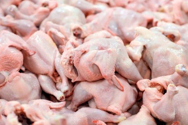 تاکنون بیش از پنج هزار تن گوشت مرغ از استانها جمع‌آوری شده است