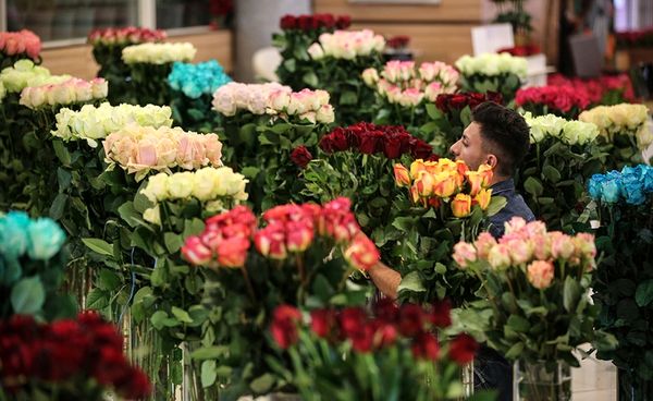 موج دوم توسعه کسب و کار گل و گیاه در سال آینده