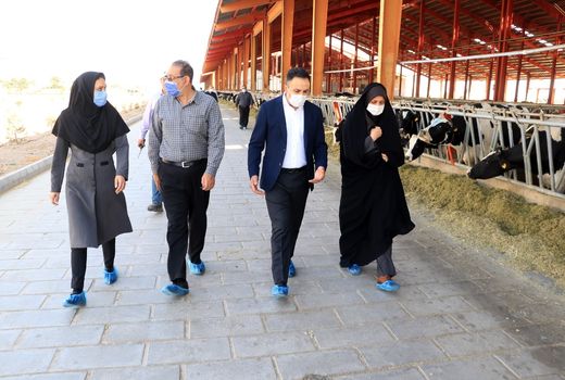 سرمایه‌گذاران طرح زنجیره تولید محصولات کشاورزی حمایت می شوند