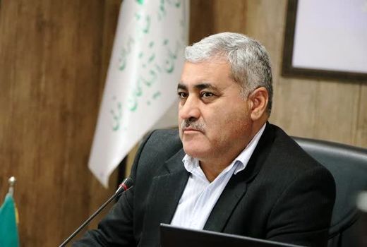 آغاز برداشت زعفران از مزارع آذربایجان غربی 