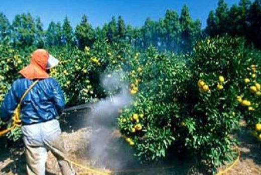 توزیع بیش از 69000 لیتر از انواع سموم کشاورزی توسط تشکل‌های کشاورزی در استان آذربایجان شرقی 