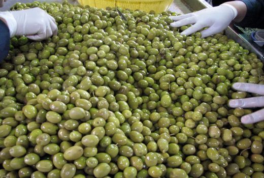 صدور ۹ پروانه بهره‌برداری صنایع تبدیلی در استان قزوین