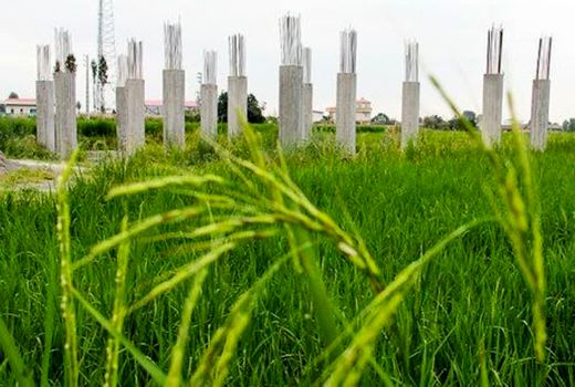 مصوبه‌ای در تعارض با امنیت غذایی؛ انتزاع وظایف سازمان امور اراضی، تیشه بر ریشه خاک کشور
