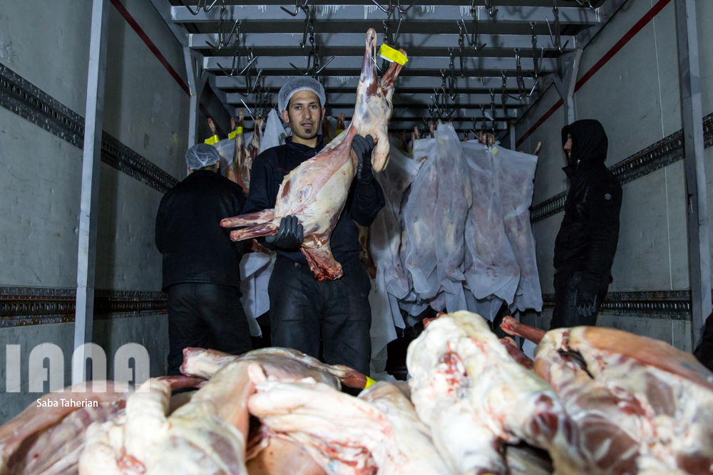 بسته‌بندی محصولات پروتئینی