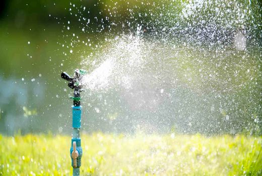 ساعات شب را به آبیاری اختصاص دهید/ آبیاری هوشمند؛ تنها راهکار خروج از بحران آب