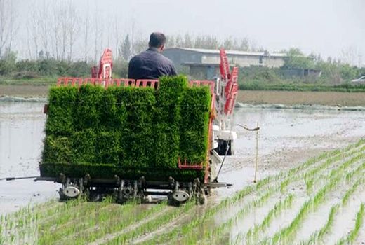 مازندران، رتبه نخست جذب تسهیلات توسعه مکانیزاسیون کشاورزی در کشور