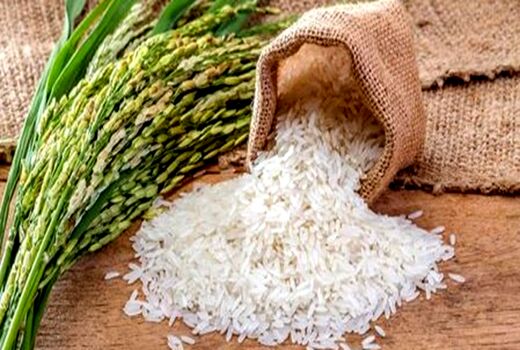 کاهش واردات برنج در راستای حمایت از تولید داخل