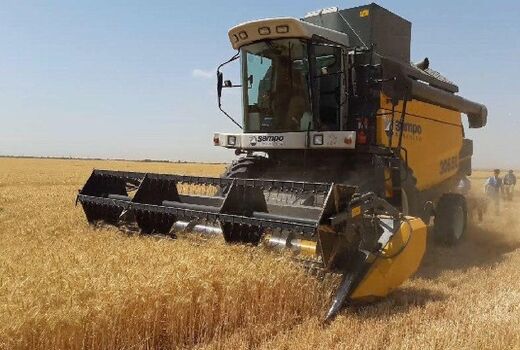 کاهش ریزش دانه های طلایی با اجرای طرح کنترل فناوری برداشت