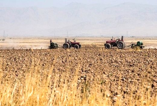 اجرای کشت جهش تولید در ۲۲۱ هزار هکتار از اراضی کردستان
