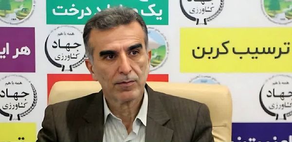 تولید یک میلیون و 800 هزار اصله نهال در نهالستان‌های منابع طبیعی آذربایجان شرقی  