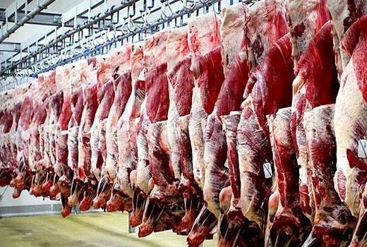 تداوم تولید گوشت قرمز با تامین سرمایه در گردش واحدهای پرواربندی