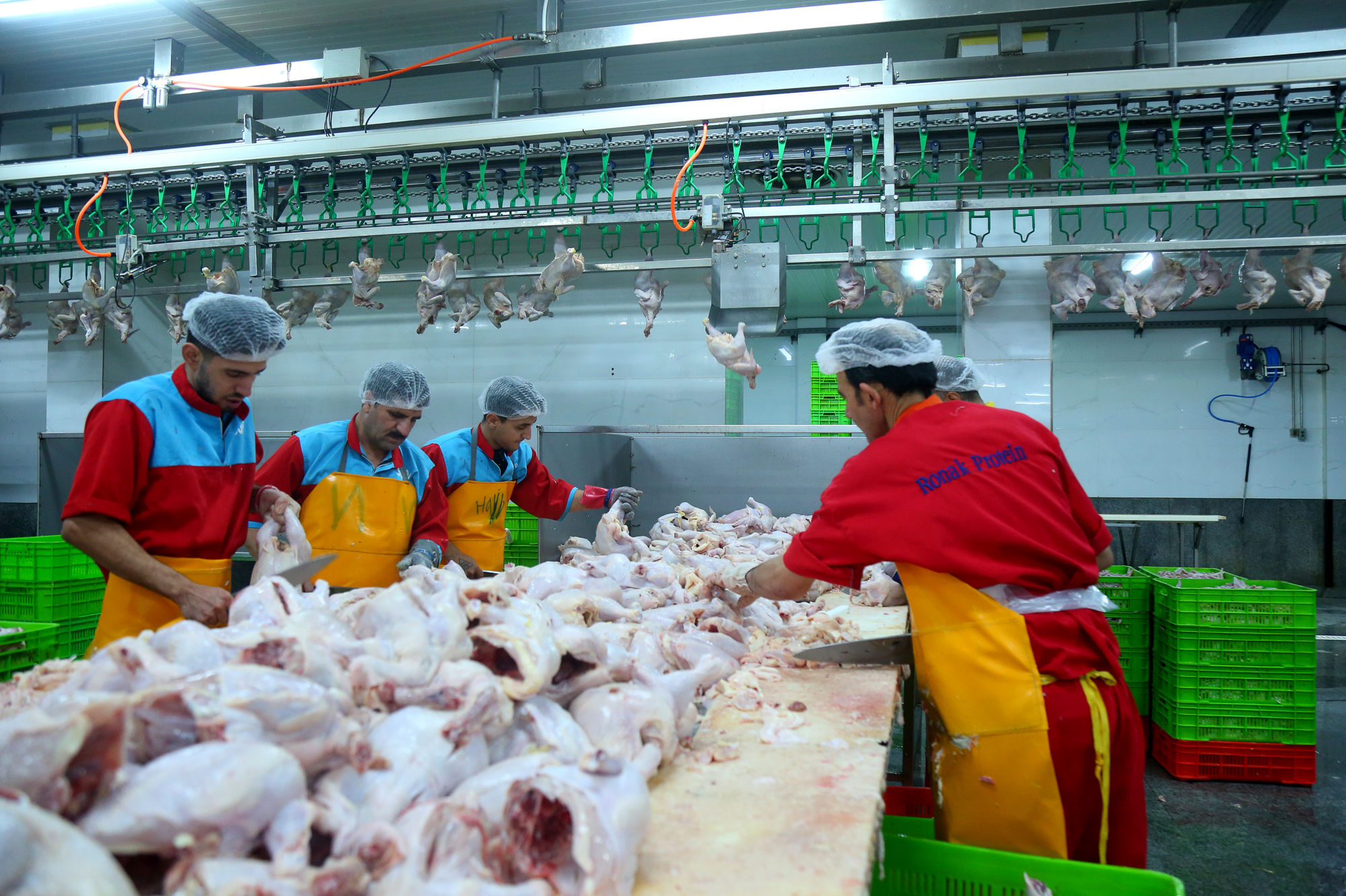 تور رسانه ای به مناسبت هفته دامپزشکی 