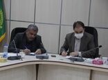 خرید بالغ بر ۶۱ هزار تن گندم مازاد بر نیاز کشاورزان استان لرستان