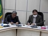 خرید بالغ بر ۶۱ هزار تن گندم مازاد بر نیاز کشاورزان استان لرستان