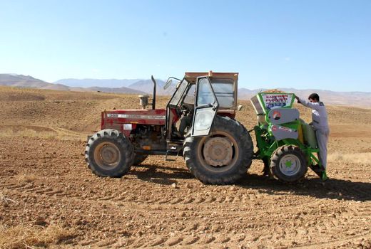 کشت مزرعه مادری پیاز زعفران برای نخستین بار در این استان