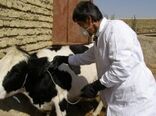 کلاس آموزشی بیماری های مشترک انسان و دام در شهربابک برگزار شد