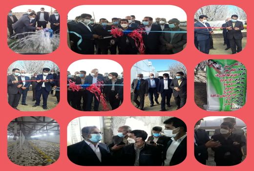 سه طرح کشاورزی و دامپروری شهرستان بافت به بهره برداری رسید