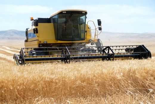 تولید محصولات زراعی اصفهان ۴۰ درصد افزایش یافت