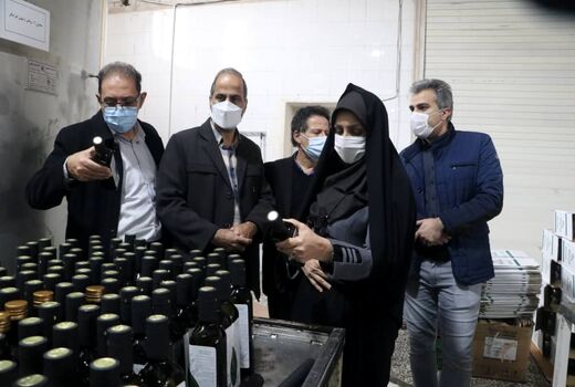 بازدید رییس سازمان جهاد کشاورزی استان قزوین از کارخانجات فرآوری محصولات زیتون در منطقه طارم سفلی
