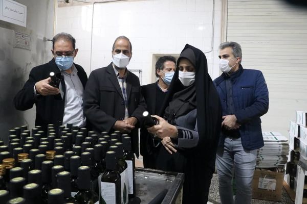 بازدید رییس سازمان جهاد کشاورزی استان قزوین از کارخانجات فرآوری محصولات زیتون در منطقه طارم سفلی
