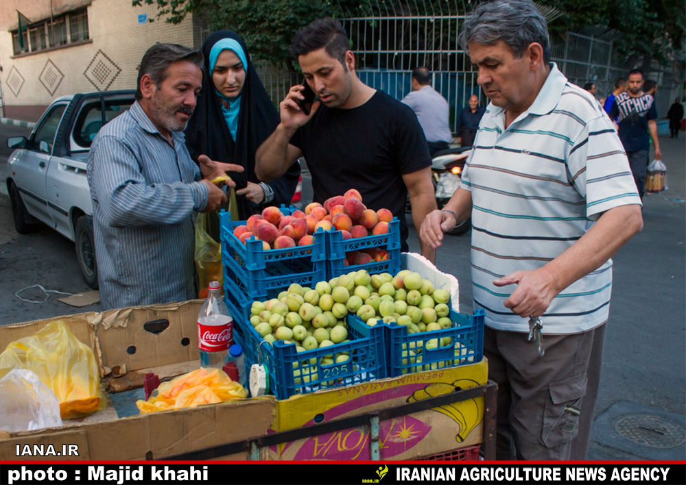 نوبرانه‌های رنگی