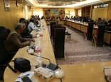 کنترل جابجایی پاجوش های خرما و قرنطینه نخلستان ها در راستایی تسریع مسیر مبارزه با آفت سرخرطومی حنایی خرما 