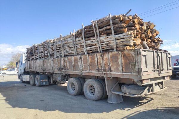دریافت مجوز برای جابه‌جایی محصولات جنگلی و باغی 