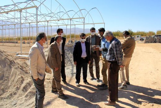 دانش آموختگان کشاورزی پا به عرصه تولید گذاشتند