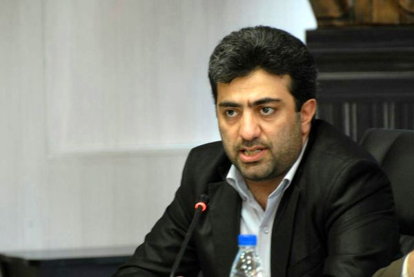 وزارت اقتصاد توان هماهنگی تیم اقتصادی دولت را ندارد