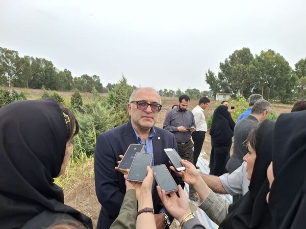 رکوردشکنی در پرورش میگو در مازندران /ظرفیت بالای صادرات با کیفیت جهانی و بازگشت سرمایه سریع

