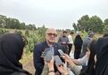 رکوردشکنی در پرورش میگو در مازندران /ظرفیت بالای صادرات با کیفیت جهانی و بازگشت سرمایه سریع
