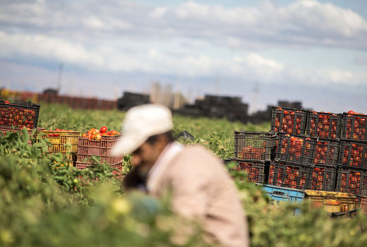 امید است با اشتغال مولد در روستا مهاجرت کم شود 