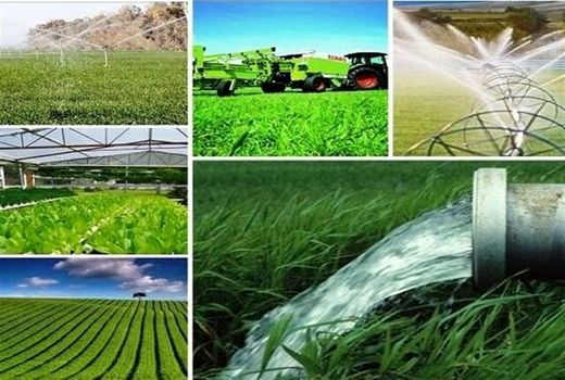 بهره برداری از 32 پروژه عمرانی و تولیدی در بخش کشاورزی استان البرز 