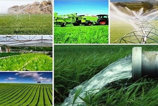 بهره برداری از 32 پروژه عمرانی و تولیدی در بخش کشاورزی استان البرز 