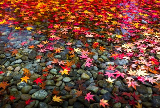 سنگریزه‌های سرخ شده با طعم زنجبیل و فلفل