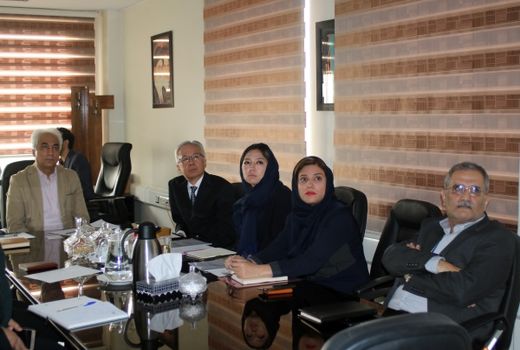 دفتر زنان روستایی طرح تولید سوخت‌های پاک را اجرا می‌کند 