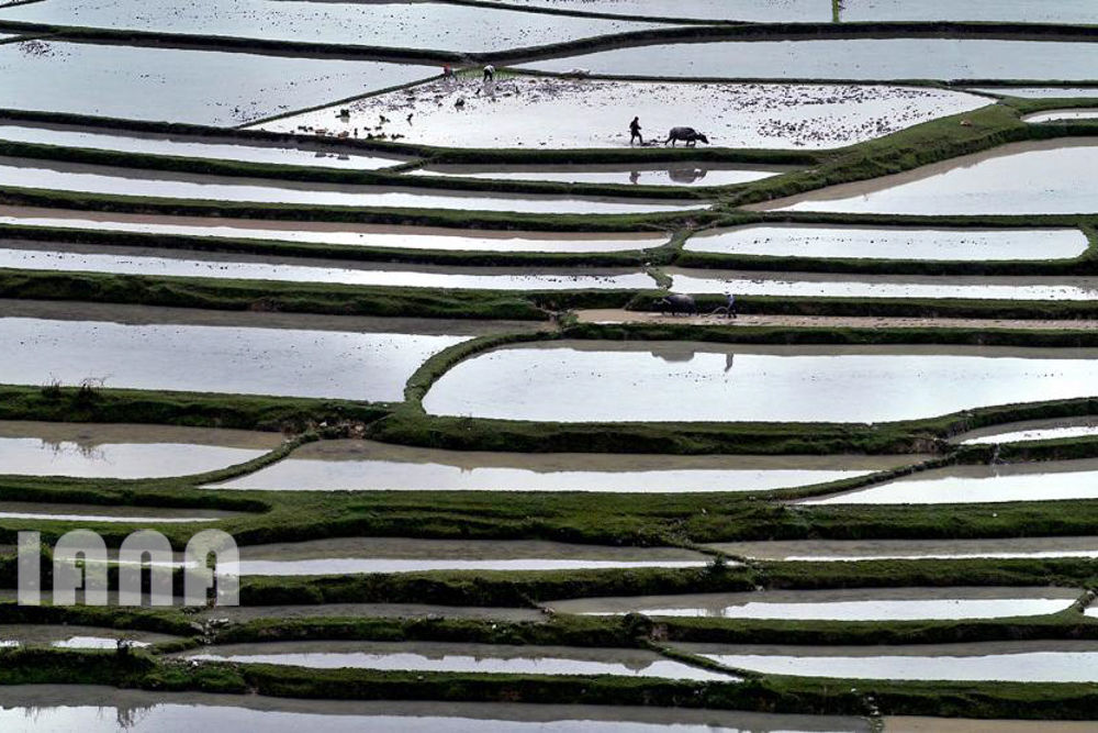 هندسه کشاورزی