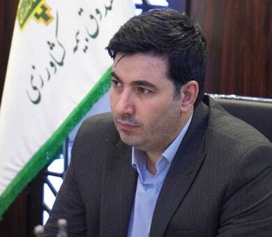 کاهش زمان انتظار کشاورزان؛ صندوق بیمه کشاورزی پرداخت غرامت‌ها را هفتگی کرد