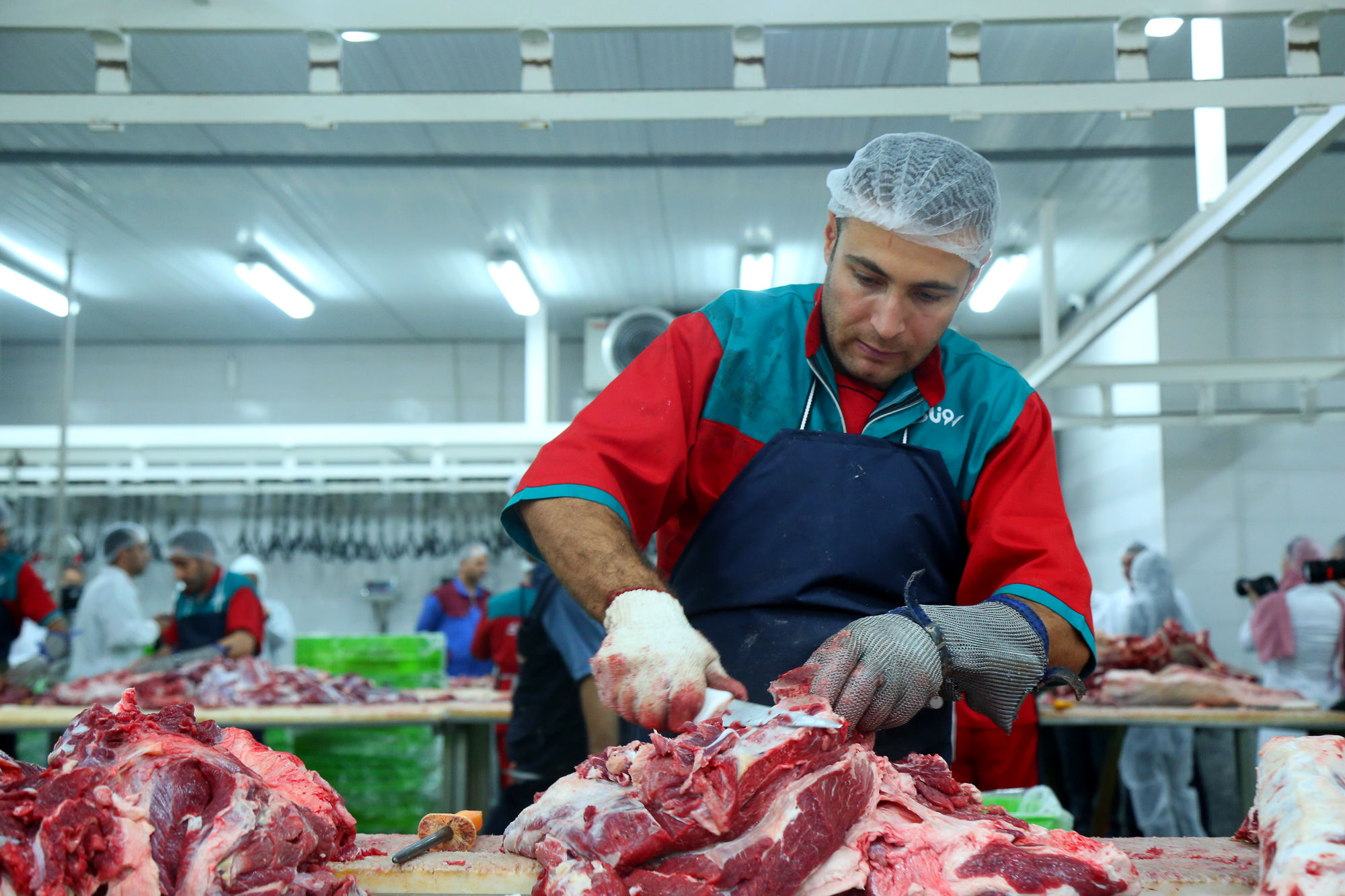 تور رسانه ای به مناسبت هفته دامپزشکی 