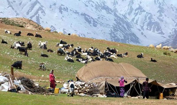 اقتصادی کردن فعالیت‌های تولیدی عشایر اولویت سازمان امور عشایر